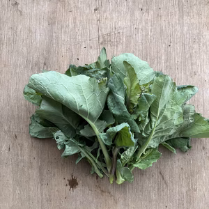 【冷蔵便】春の味覚　のらぼう菜