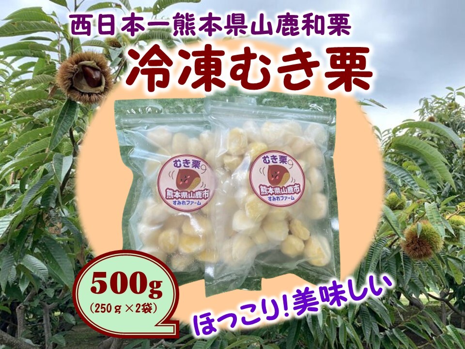 ホクホク甘さ凝縮！『冷凍むき栗』山鹿和栗500g～1kg｜栗（くり