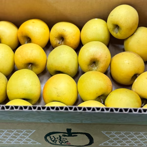 毎日りんご!!シナノゴールド【極小玉バラ詰め】家庭用約5Kg　抜群コスパ