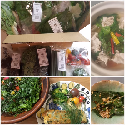 みんなの投稿の画像