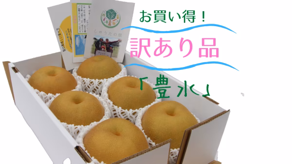 【お買い得品！予約品】水分がジュワ～♪豊水梨「訳あり、ご家庭用」