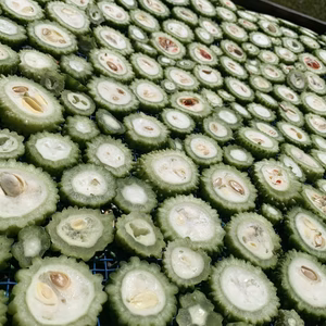 【福袋2024】67%増量！ 栄養満点♡ 種ごと干しゴーヤー