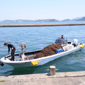 関門海峡産あかもく♡10Pご購入で2Pおまけ付お買い得です