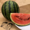 【夏ギフト】7月発送/山形産甘い大玉すいか1個
