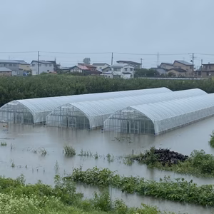 【応援】令和4年8月豪雨被害