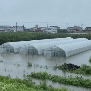 【応援】令和4年8月豪雨被害