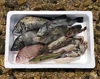 小豆島の海の恵み。旬のお魚お任せ鮮魚スタンダードセットＰ（7～15匹）