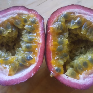 【無農薬】冷蔵熟成パッションフルーツ30玉