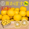【数量限定】市場にはあまり出回らない、黄かぼす（約２kg）