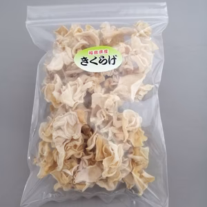 純国産 乾燥白キクラゲ 100ｇ（栽培から収穫まですべて管理しています）