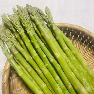 みずみずしく濃厚！大山を望む大地で育てた朝取り新鮮アスパラガス