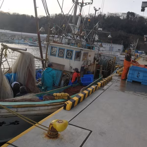 真鱈(寒タラ)　石川県能登産！！