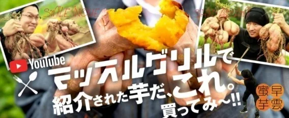 冷やし焼き芋【ひゃっこいも】