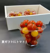 【7月下旬より発送】≪夏ギフト≫ミニトマト贈答用　化学肥料・農薬完全不使用