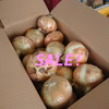 【SALE!シーズン最終】糖度11度！淡路島新玉ねぎ 10kg