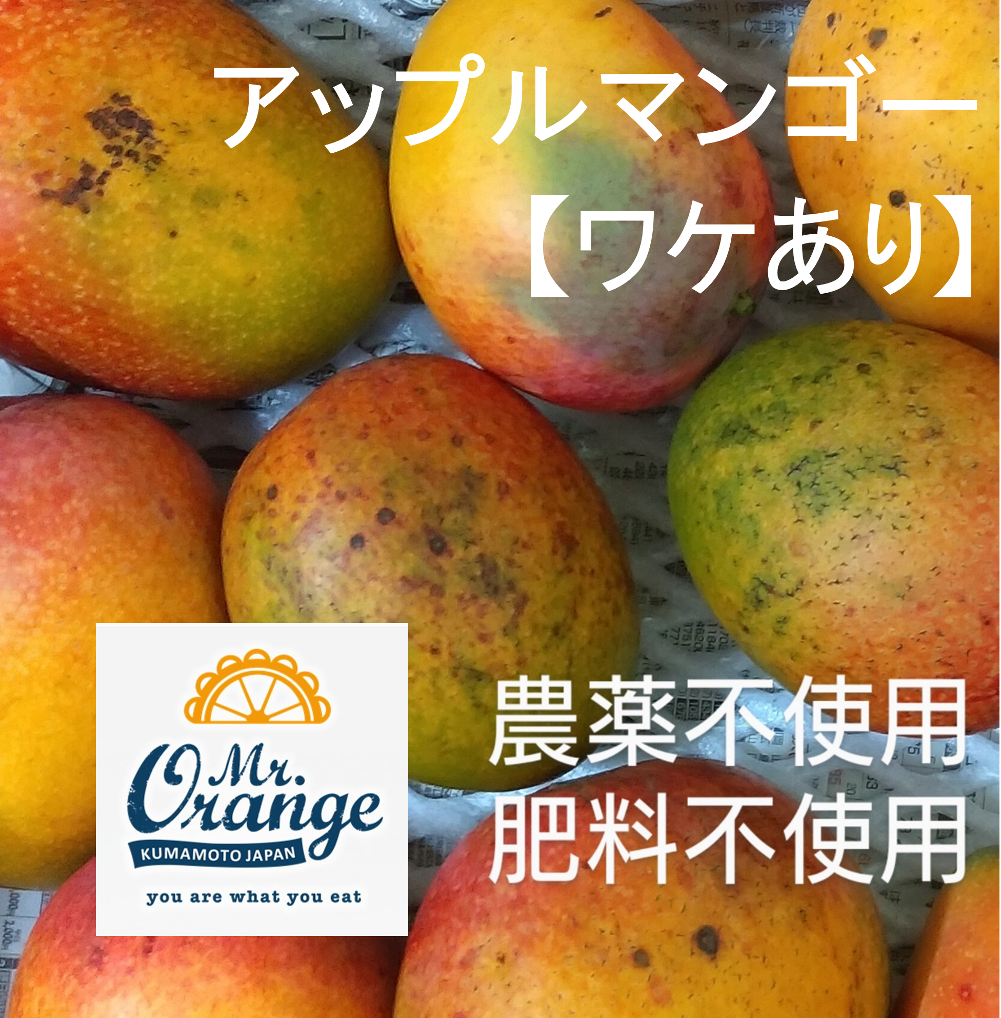 AL完売しました。 訳ありマンゴー3㎏ xclusive.com.co