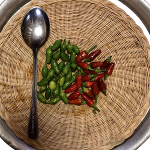 タイの小粒唐辛子！プリッキーヌ・オム！赤唐辛子＆青唐辛子