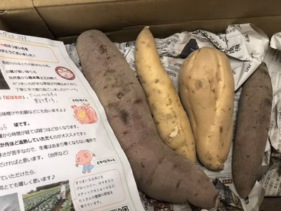 みんなの投稿の画像