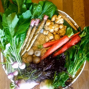 冬野菜あれこれボリュームセット