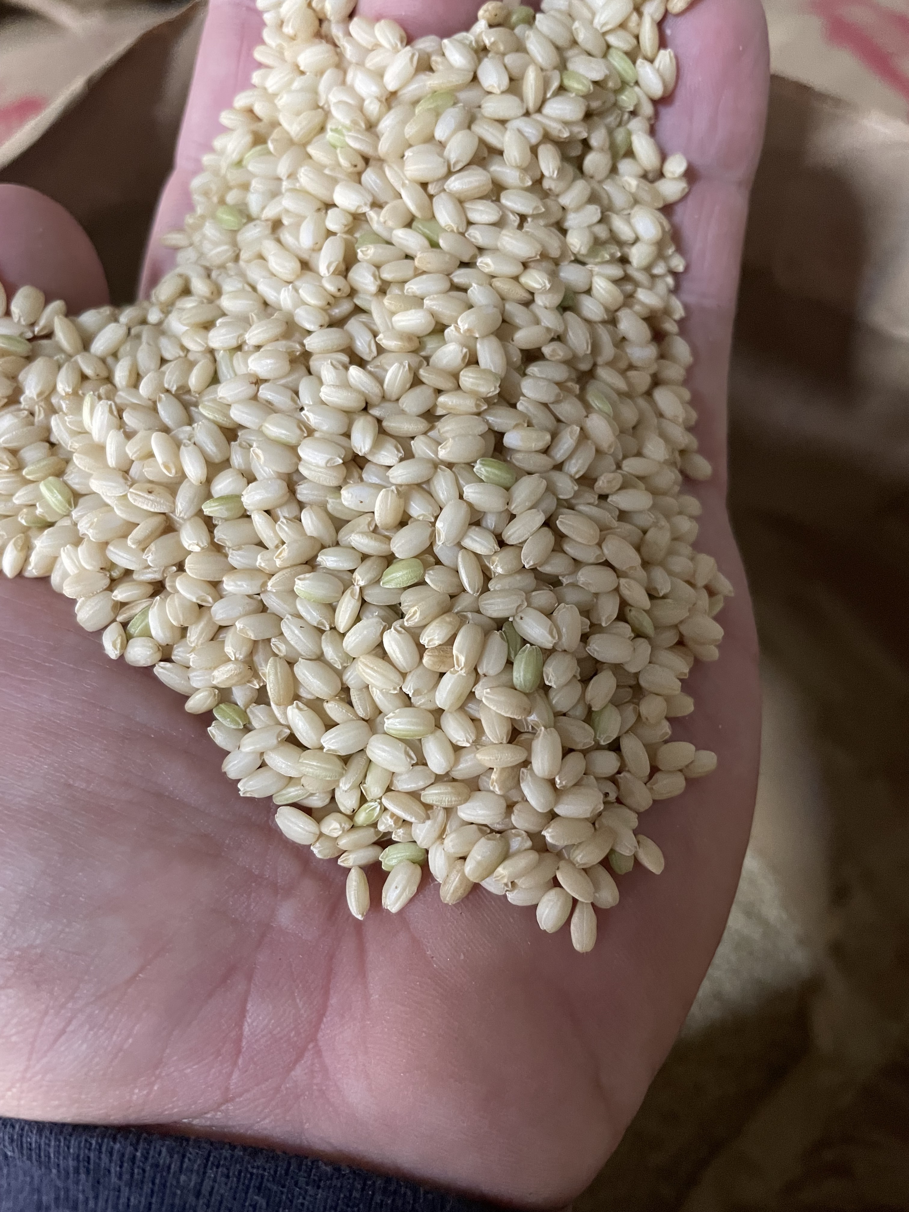 はなまる農園の新米コシヒカリ玄米30キロ - 米