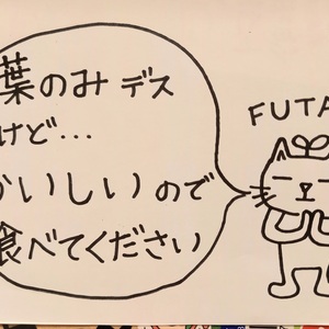 ★冬の寒さで糖度が　グッ　と上がった★スティックブロッコリーの葉っぱ