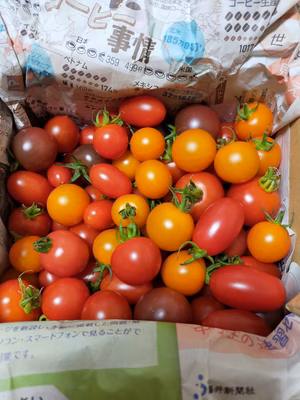 みんなの投稿の画像