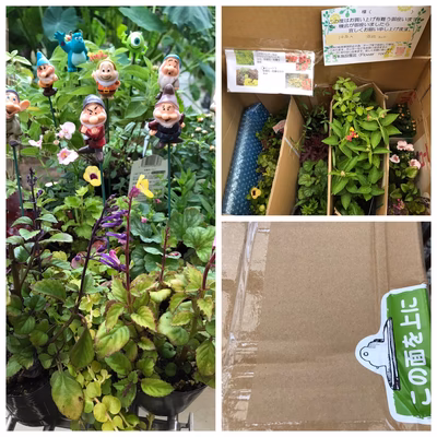 みんなの投稿の画像