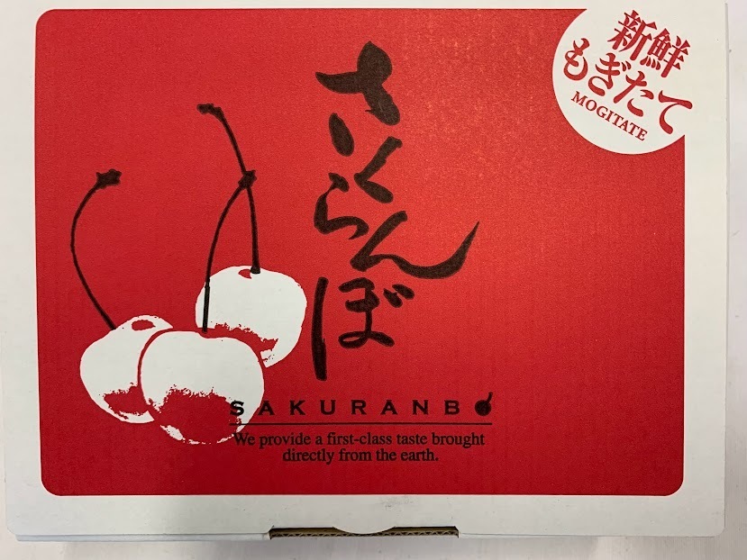 7月お届け】朝採りを直送！M～2Lサイズ500gご自宅用（佐藤錦または
