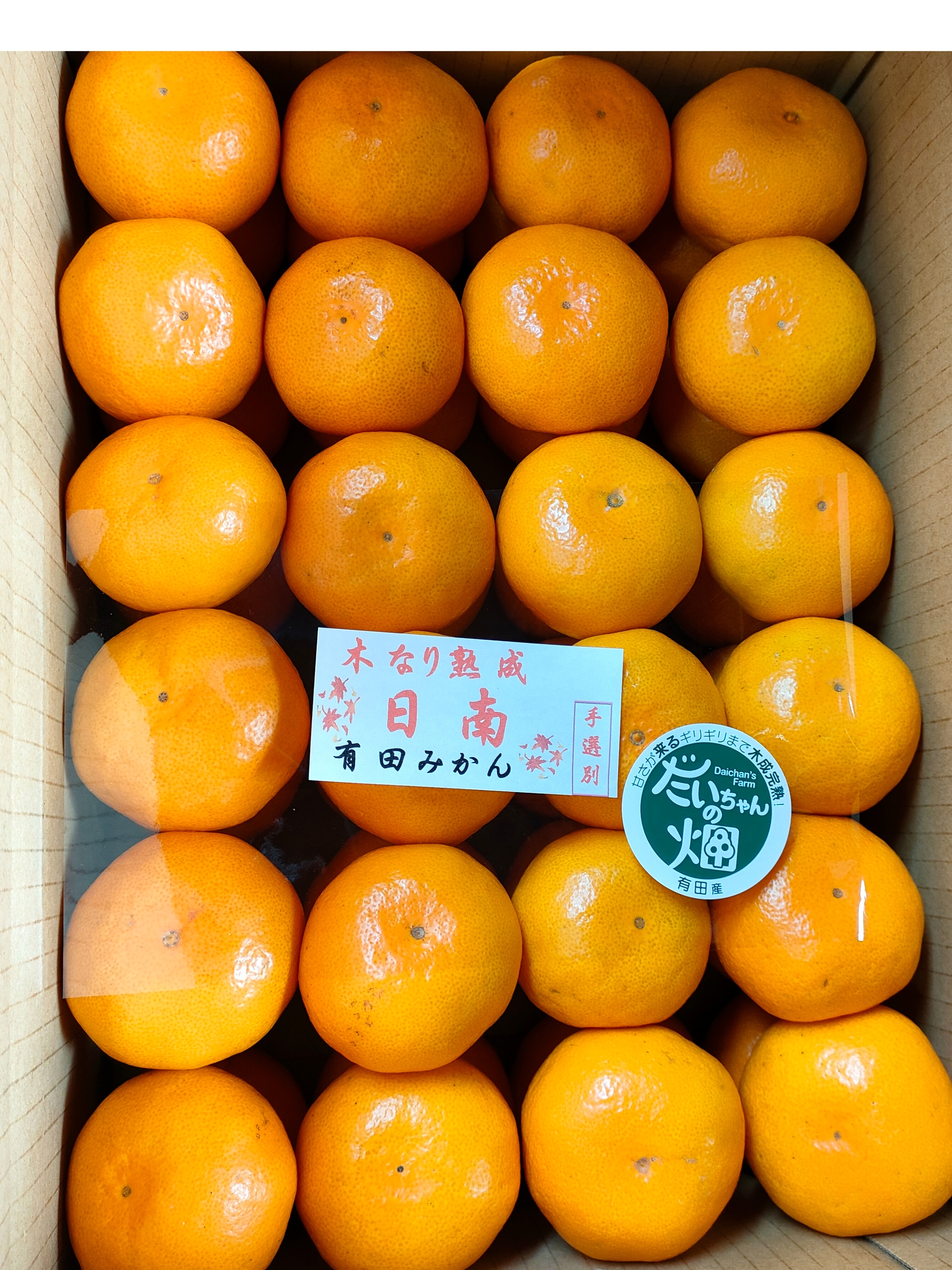 YN26の産直通販・お取り寄せ商品｜ポケットマルシェ｜産地直送で