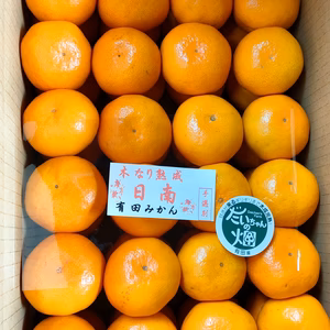 【贈答用】樹上完熟❢❢  （有田みかん）懐かしの味！夕やけみかん(日南）