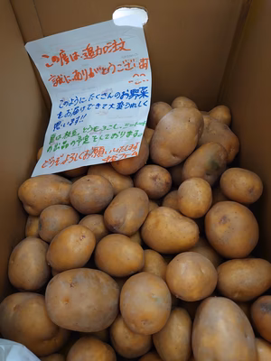 みんなの投稿の画像