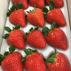 朝摘み スカイベリー
