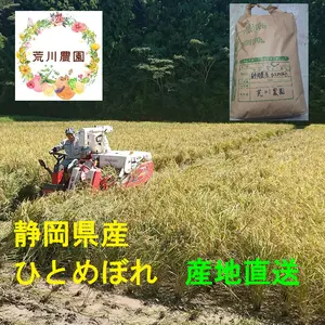 [新米]令和4年 静岡産米 ひとめぼれ 精白米