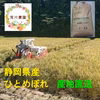 [新米]令和4年 静岡産米 ひとめぼれ 精白米