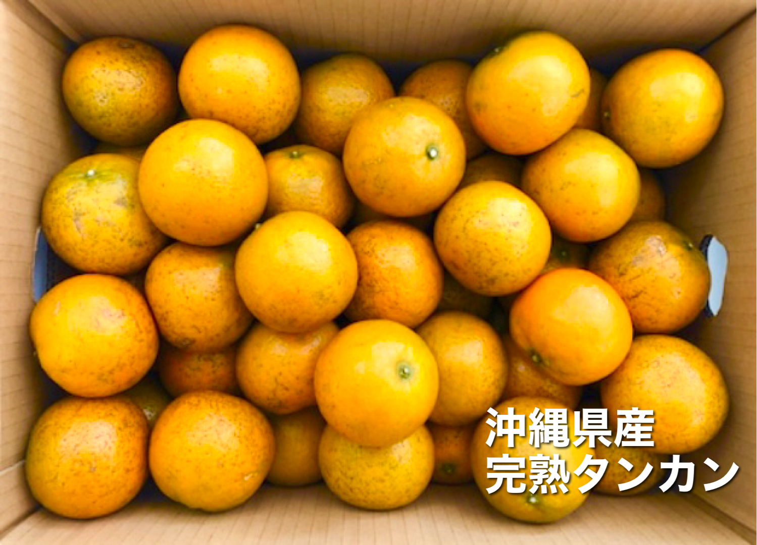 たんかん　奄美徳之島産　10 Kg　A級、B級混合　Lサイズ たんかん 奄美徳之島産 10 Kg A級、B級混合 L サイズ