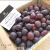 【感謝価格】　一箱　訳あり　紺　葡萄　ぶどう　果物　くだもの　にん忍葡萄園　