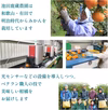 和歌山県産レモン（有機肥料100%・減農薬栽培）