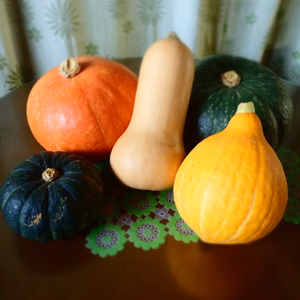 【京野菜】カラフル南瓜セット【5種7キロ】