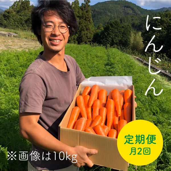【定期便】農薬・化学肥料不使用にんじん