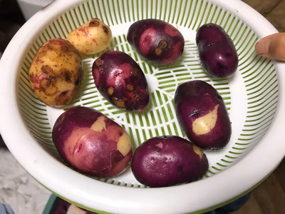 みんなの投稿の画像