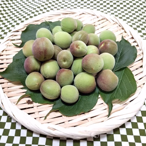 青梅・林州　M～２Lサイズ（中～大粒／梅干し・梅酒など）　約２kg～