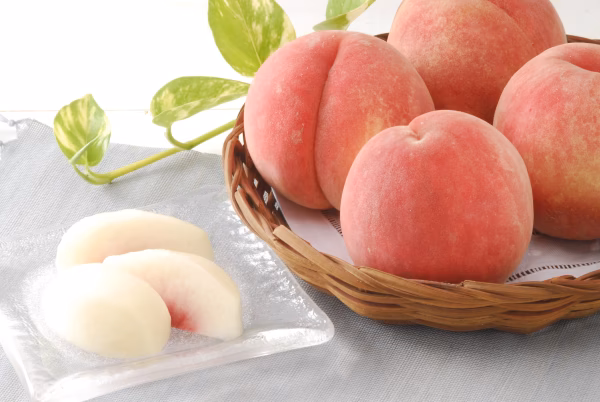 【福島県】8月発送の桃　3ｋｇ（9～16個入り