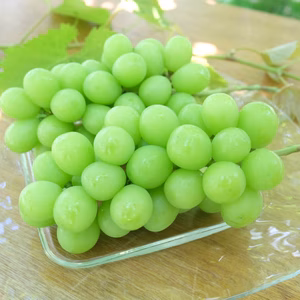 【食べる喜び・贈る喜びを感じる】★訳あり★シャインマスカット1㎏　2～3房