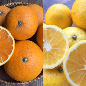 甘さと爽やかさと、きよみとサマー【農薬不使用】