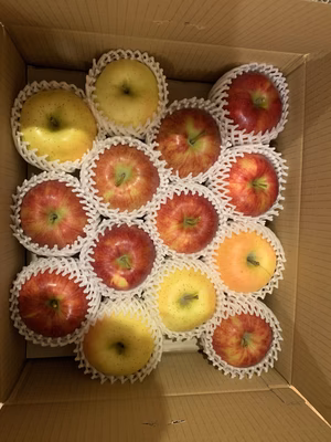 みんなの投稿の画像