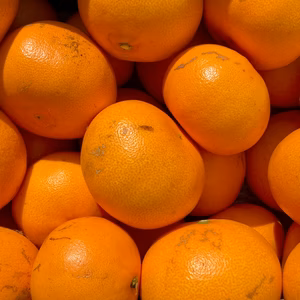 【訳あり】せとか 【プルッとした果肉と濃厚な味わい】