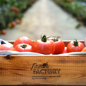 復活！！お試しサイズ【2キロ箱満杯詰め】完熟トマト『陽の香り』