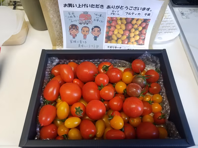 みんなの投稿の画像