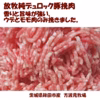 冷凍/お任せブロック肉1つとウデモモ挽肉セット