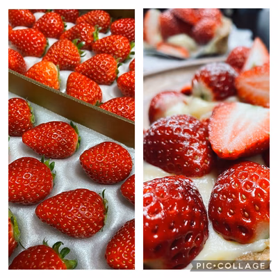 みんなの投稿の画像